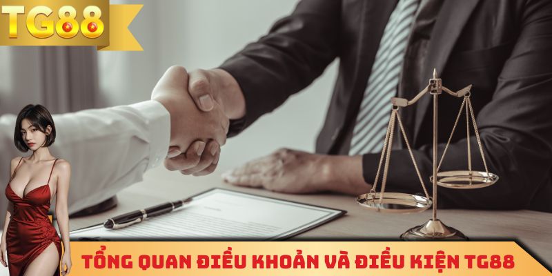 Tổng quan điều khoản và điều kiện TG88